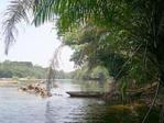 Tiwai Island
